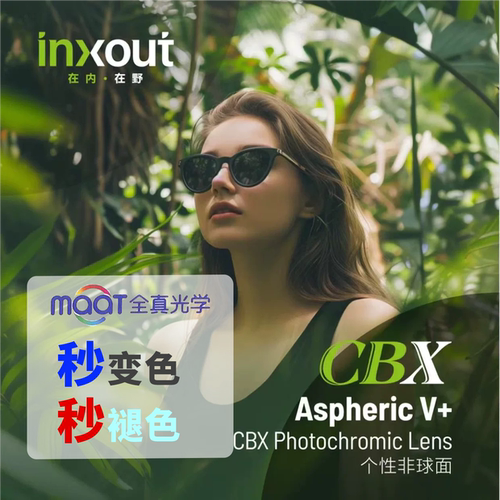 全新INXOUT全真镜片CBX净蓝膜