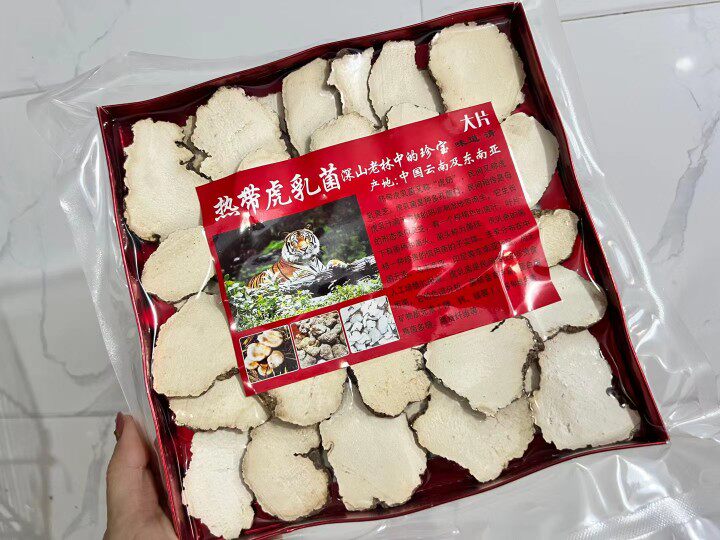 热带虎乳菌片230g秋冬去咳虎乳菌味道清香咳嗽炖汤料儿童潤肺食疗