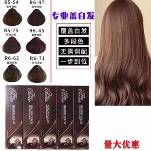 三荣巧克力染膏90g盖白发多段色一步到位理发店单支染色剂闷青