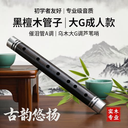 风海名家乌木管子乐器音准音色好