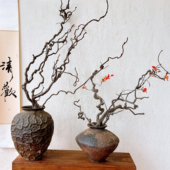 龙枣枝干树枝侘寂禅意中式 饰客厅家居酒店茶室摆设艺术枯枝 插花装