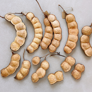 娃娃豆 云南大豆荚榼藤子平安豆diy豆荚娃娃材料家居挂饰盘玩摆件