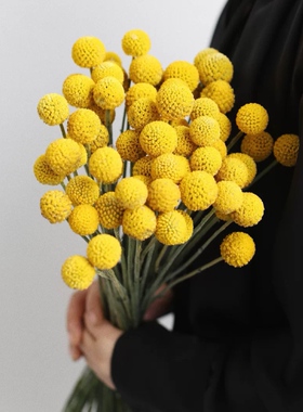 ins风天然黄金球干花diy插花摆件