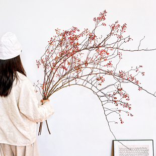 红果山归来真花干花新中式侘寂风家居插花装饰摆件蔷薇果干树枝