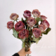 云南天然玫瑰干花真花花束卡布奇诺客厅家居桌面插花装 饰摆件送人