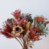 南非进口公主干花家居插花花束搭配干花花束客厅摆设烫头帝王花