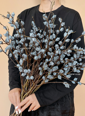 云南尤加利果天然真花干花花束小白果干果复古家居插花装饰摆件