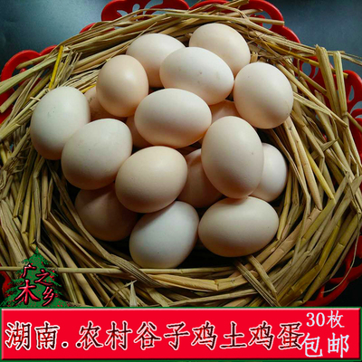 正宗农家土鸡蛋散养谷子鸡蛋