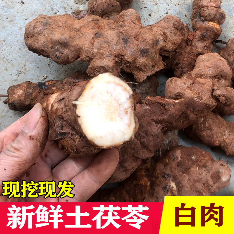 广东现挖新鲜土茯苓野生新鲜祛湿中药材硬饭头白肉土茯苓煲汤10斤