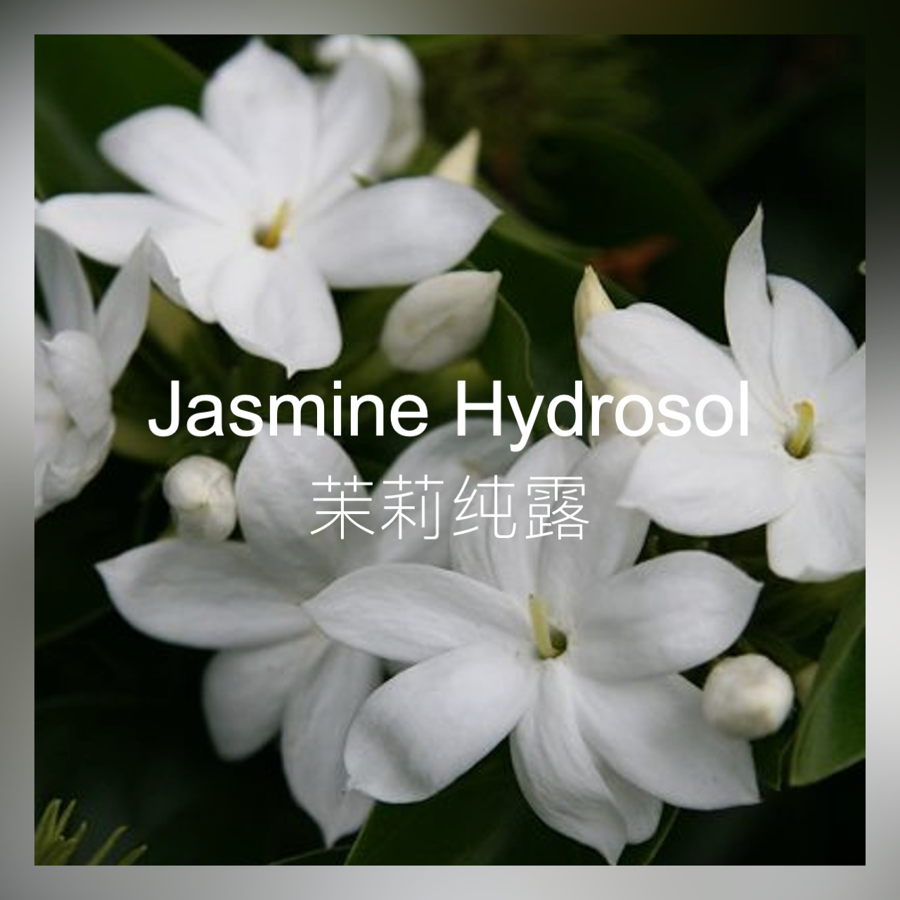 灵药 茉莉纯露 补水保湿 茉莉香气喷雾面膜敷脸爽肤水