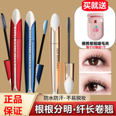 正品 BOB蚕丝3D睫毛膏 持久防水防汗不晕染加纤长浓密卷翘自然彩妆