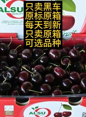 10斤5斤kordia科迪亚智利车厘子