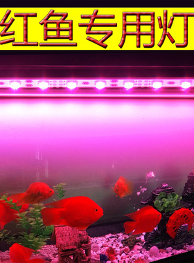 魔红色红鱼灯防水led鱼缸灯 罗汉红龙增红鹦鹉鱼专用灯管增艳红光