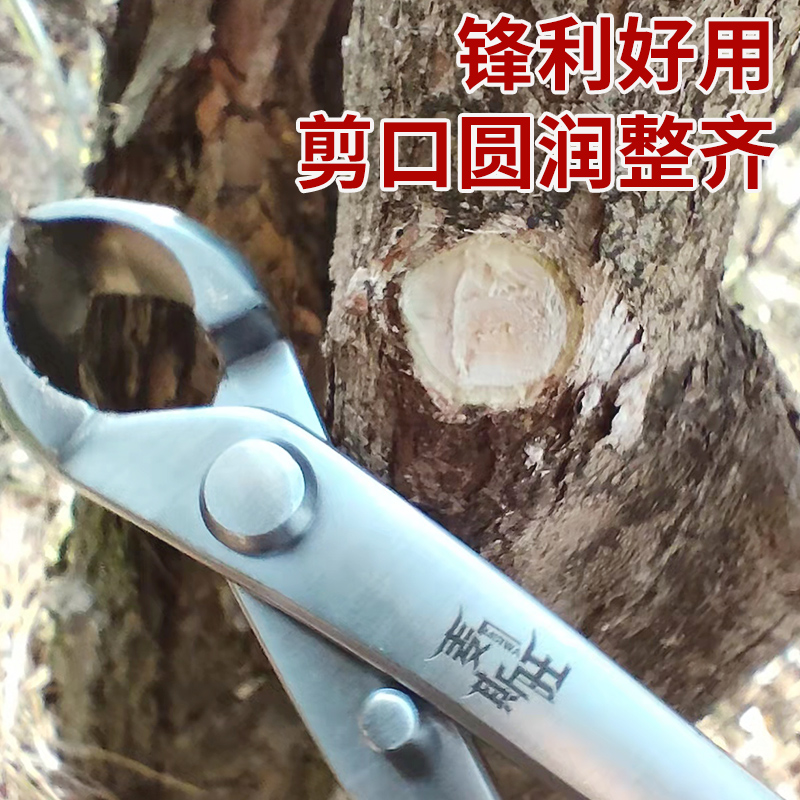 麦斯旺球节剪球钳盆景专用球剪修树瘤树节球形钳盆景修剪造型工具