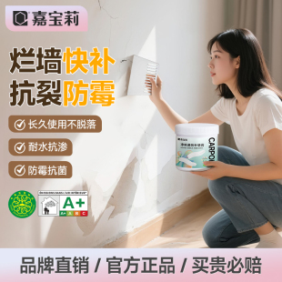 嘉宝莉补墙膏墙面修补白色腻子粉刷墙裂缝开裂补洞翻新修补膏家用