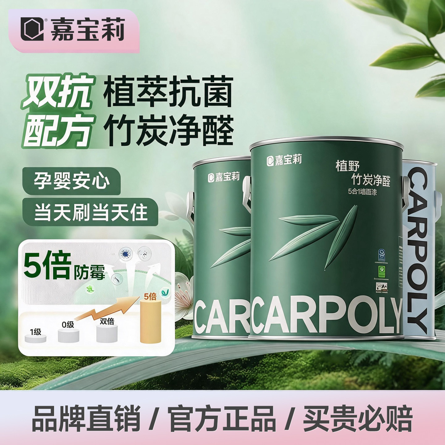 嘉宝莉竹炭抗甲醛五合一乳胶漆图片