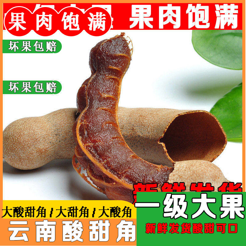 酸甜角云南特产孕妇零食酸酸角泰国甜角罗望子云南甜角强酸角干果