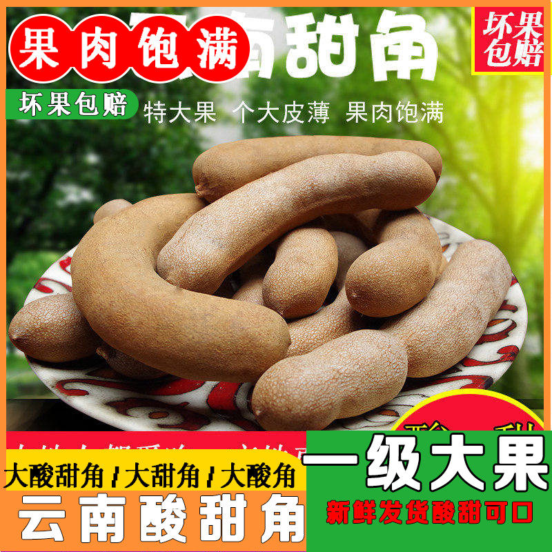 味觉酸角云南特产孕妇开胃零食小吃罗望子泰国甜酸角甜角新鲜果脯