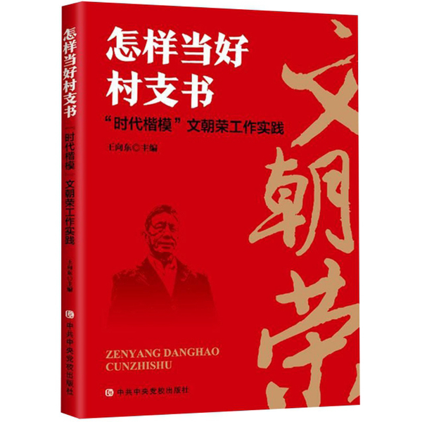 正版现货 怎样当好村支书 时代楷模文朝荣工作实践 王向东 中共中央党校出版社9787503564222