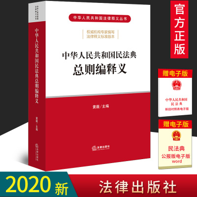 2020正版 民法典释义中华人民共和国民法典总则编释义 黄薇 民法典法律法规工具书民法典总则编逐条释义法典草案法条法规解读法律