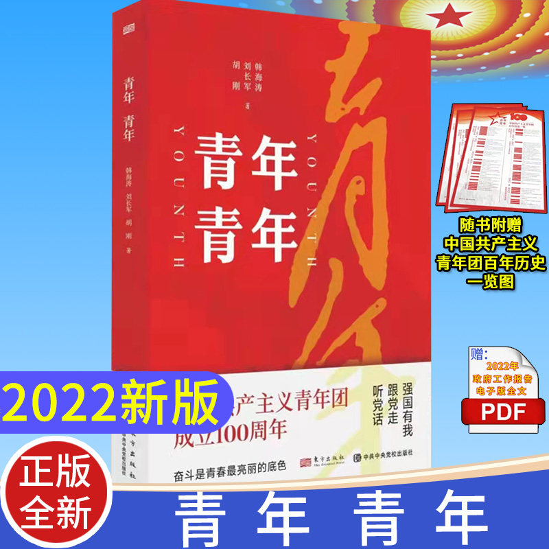 青年庆祝建团100周年2022