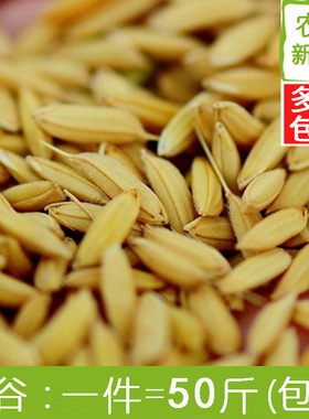 稻谷喂鸡鸭鹅鸽子鸟仓鼠宠物水稻带壳谷子粮食饲料50斤鸽粮批发