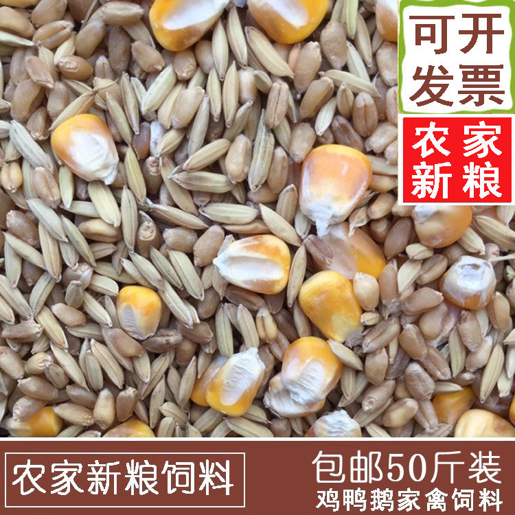 农家新粮稻谷小麦玉米籽鸽子鸡鸭鸟宠物饲料鸟食江浙沪皖50斤包邮