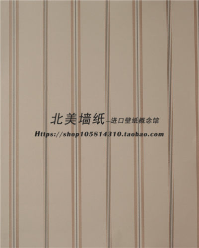 美国进口纯纸墙纸客厅卧室壁纸