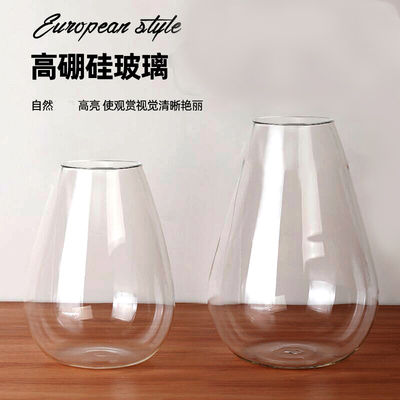 生态瓶苔藓玻璃器玻璃花瓶
