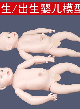 出生婴儿脐带护理模型
