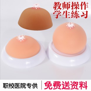 催乳师教学培训全硅胶实心仿真乳房模型 假胸 大号乳房模型教具