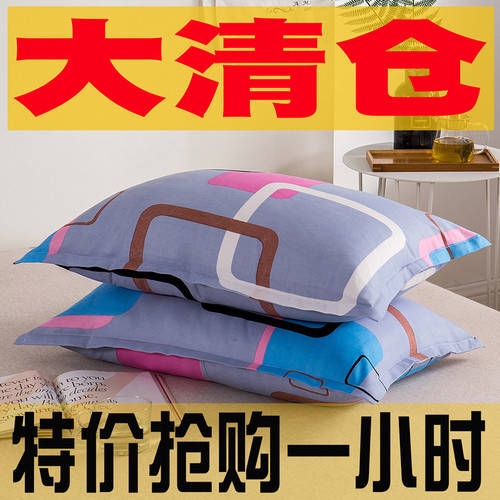 一对装枕套水洗棉单人双人枕芯套
