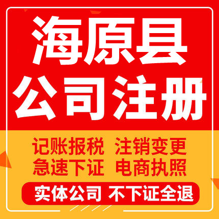 海原公司注册个体工商营业执照代办公司注销企业变更股权异常