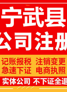 宁武公司注册个体工商营业执照代办公司注销企业变更股权异常