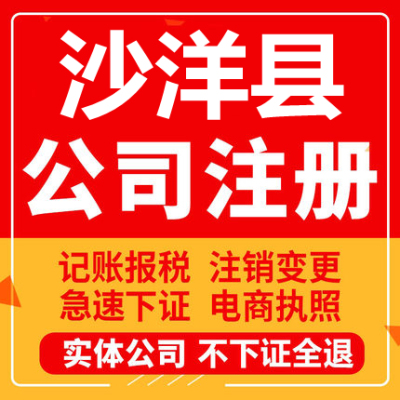 沙洋公司注册个体工商营业执照代办公司注销企业变更股权异常