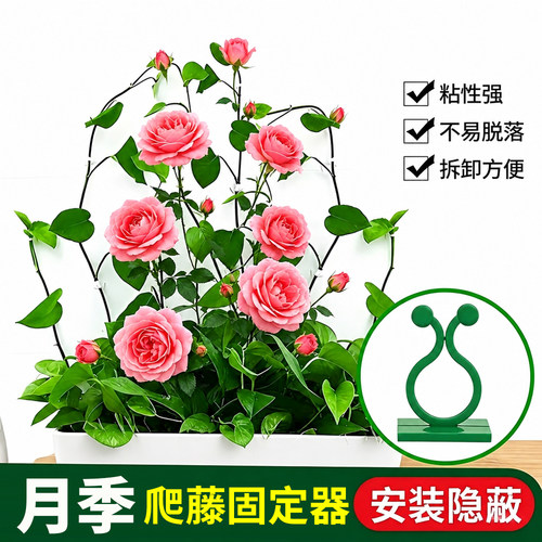 月季爬藤无痕卡扣固定器