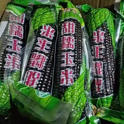 青穗真空黑玉米山西特产黑玉米