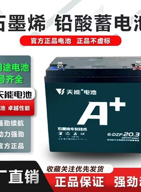 天能电动车三轮车12V20A12A32A45A抽水照明逆变轮椅太阳能电瓶单
