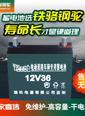 12V电瓶专用电瓶夜市干电瓶12v36ah80a120蓄电池照明太阳能抽水电