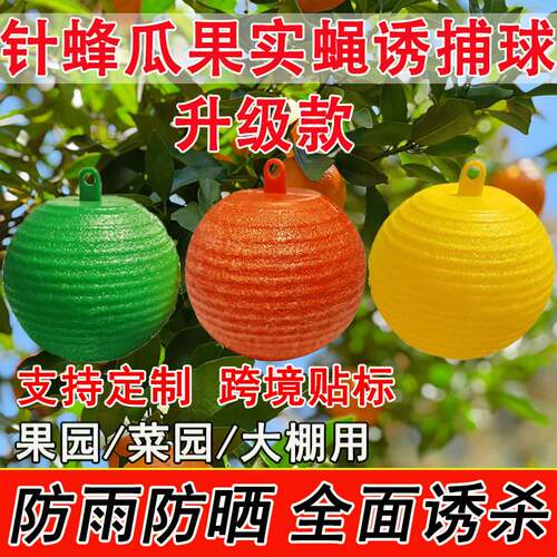 粘虫球柑橘大实蝇诱蝇球瓜果实蝇诱捕灭果蝇针蜂诱虫球瓜果园专用