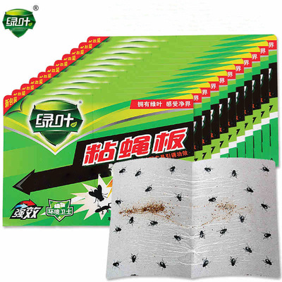 绿叶苍蝇贴强力粘蝇纸