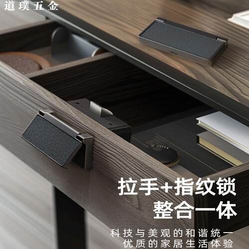 道璞指纹开锁文件柜储物柜锁
