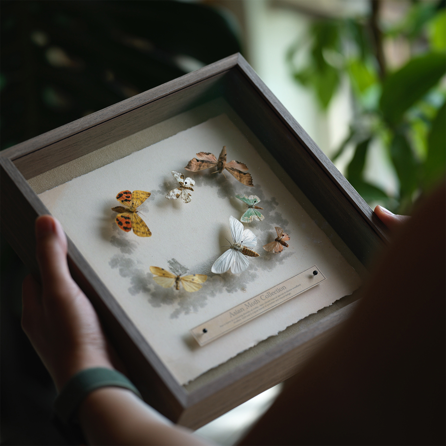 520高定款情侣纪念永恒爱情礼物