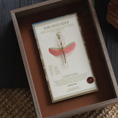 红玫瑰竹节虫昆虫标本法式装饰画