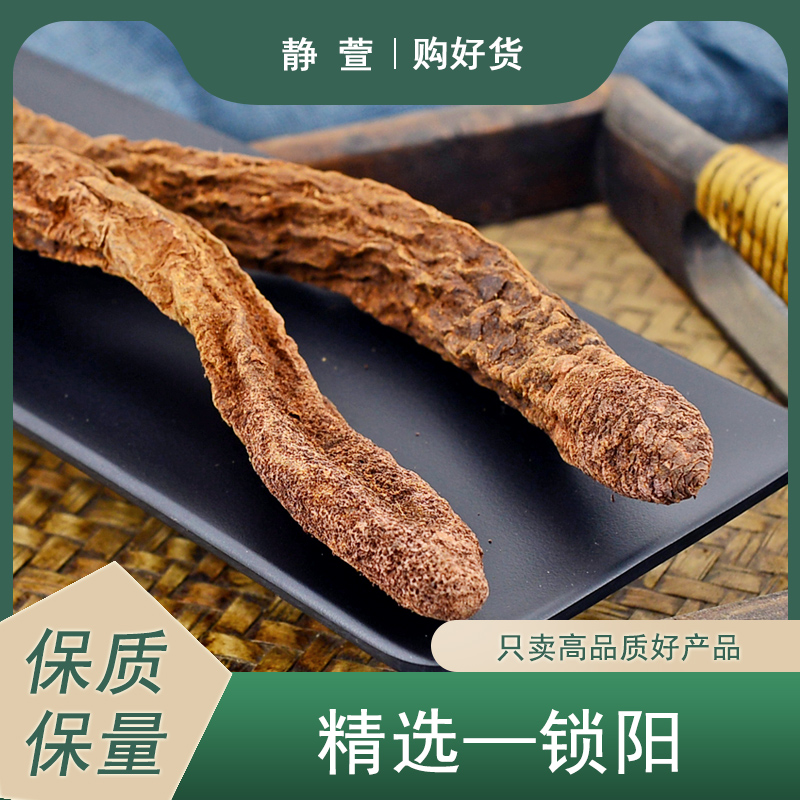 锁阳中药材静萱正品整根新鲜干货泡茶泡酒搭桑葚肉苁蓉淫羊藿叶粉