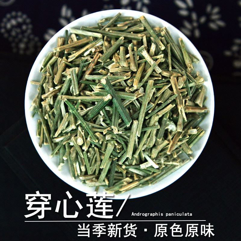 穿心莲中药材静萱正品穿心连川心莲榄核莲苦胆草药非野生金香草粉