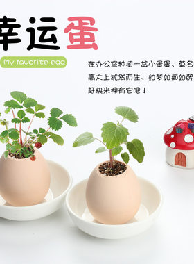 diy手工招生六一节日小礼品赠送
