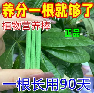 植物缓释肥营养棒养花通用型花肥家用盆栽复合肥料发财树花卉绿植