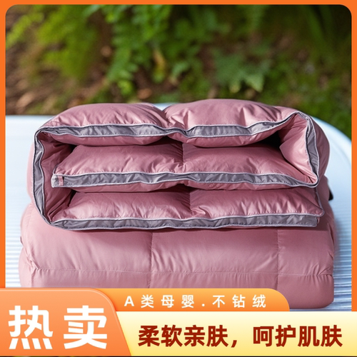 春秋双人学生宿舍被芯