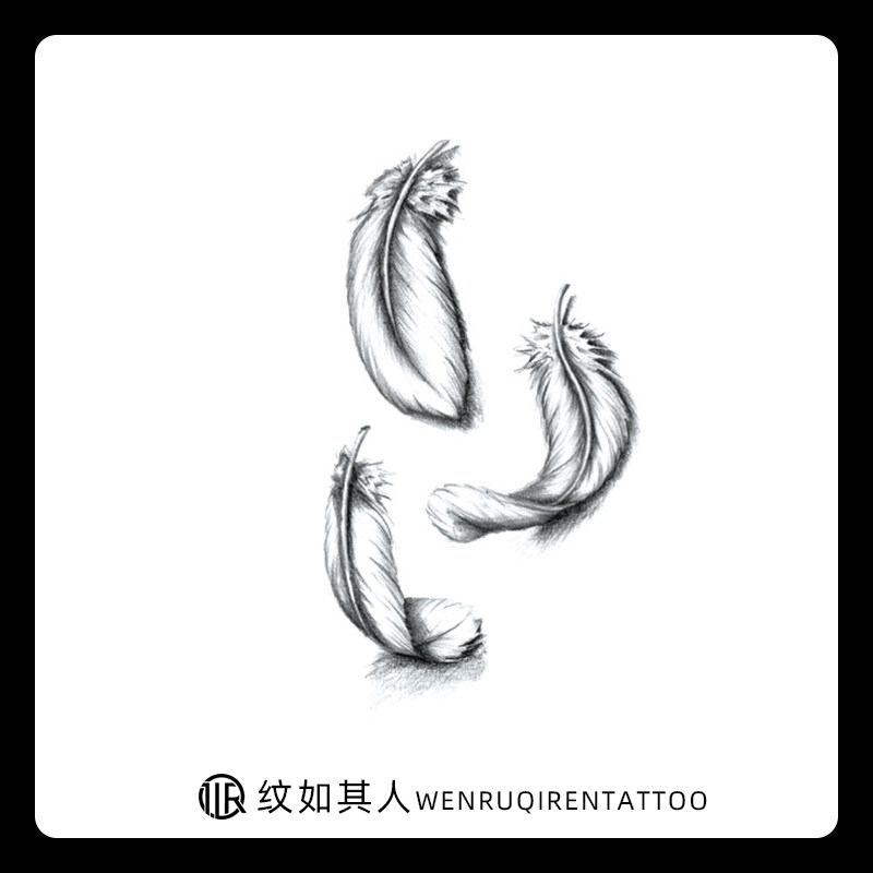 个性黑白素描羽毛纹身贴防水男女持久逼真遮疤痕刺青创意纹身贴纸